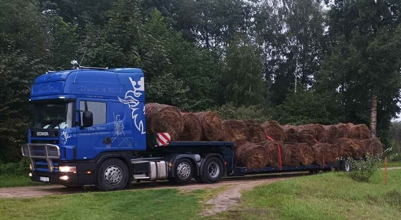Kravas auto ar puspiekabi pārvadā lielus siena ruļļus. Lauksaimniecības kravu pārvadājumi, tostarp siena ruļļu transportēšana